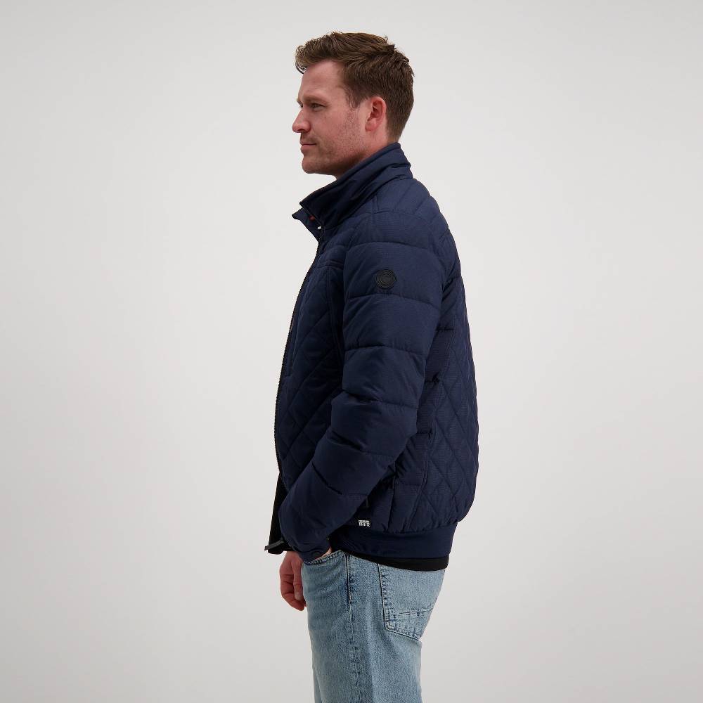 Cars Jeans Proceck Poly Navy (12 Navy) Fabrikpreis