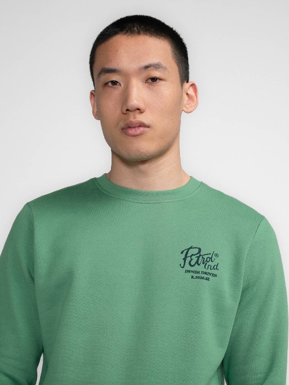 Petrol M-3040-SWR363 Men Sweater Round Neck Print (6167 Wasabi) Fabrik Onlineshop