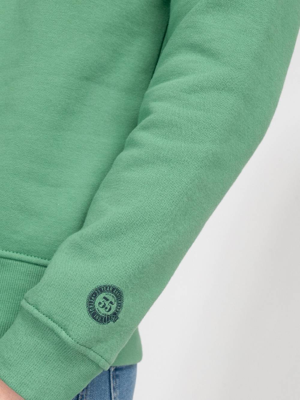 Petrol M-3040-SWR363 Men Sweater Round Neck Print (6167 Wasabi) Fabrik Onlineshop