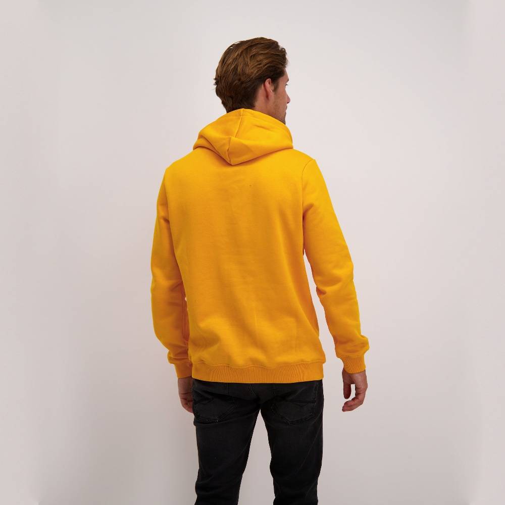 Cars Jeans KIMAR HOOD SW OCRE Angebote